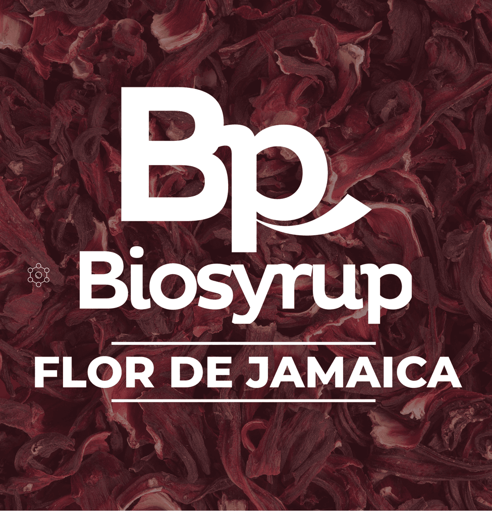 Biosyrup Flor de Jamaica